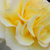 Amarillo - Rosas híbridas de té - Sunny Sky ®